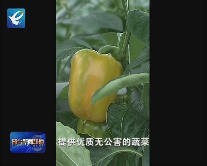 战“疫”微面孔：再出发，每个人都是最亮的星