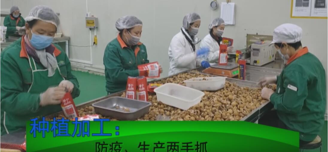 河北临城:企业复复产助力经济 持续发展